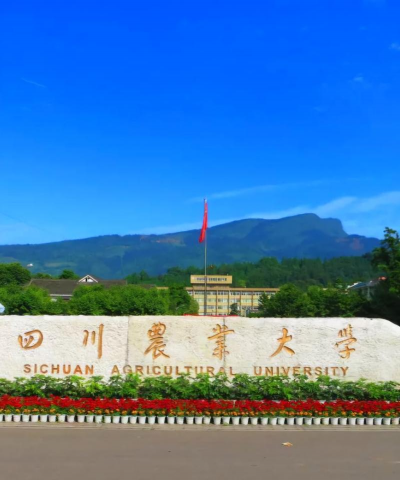 四川农业大学环境