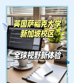 萨福克新学院