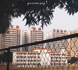 南宁市华侨实验高中环境
