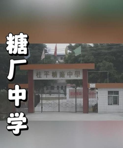 桂平糖厂中学环境