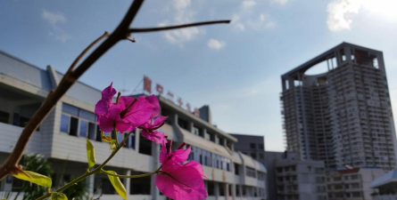 南宁市第二十九中学(初中部)环境