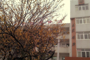 天台街头中学