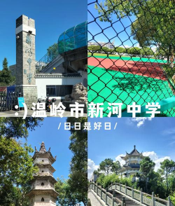 温岭市新河镇蔡洋中学环境