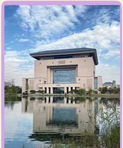 武汉学院