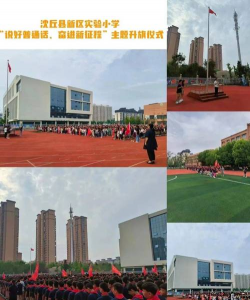 沈丘县实验中学