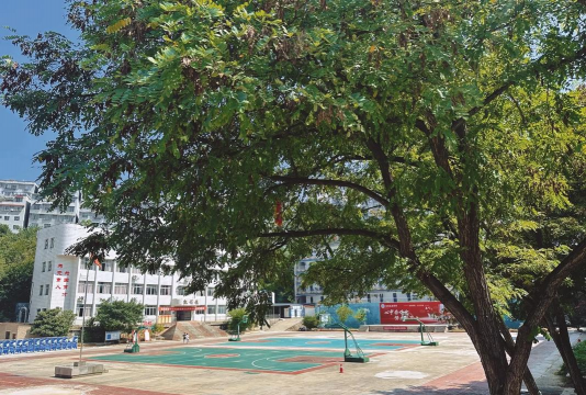 黔东南州卫生学校