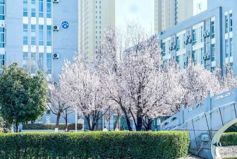 渭南职业技术学院