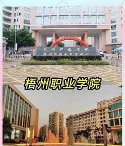 梧州职业学院