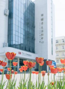 宁波大学