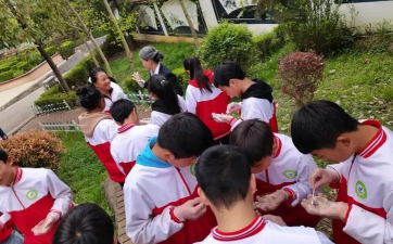 撒拉溪中学
