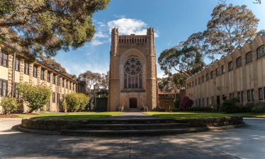 纽曼大学学院