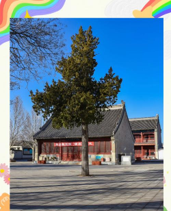 北京市房山区琉璃河中学