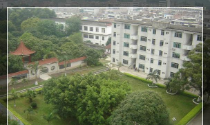 马山县周鹿中学