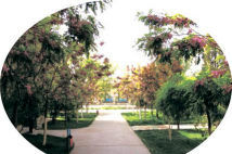 宁夏机电工程学校