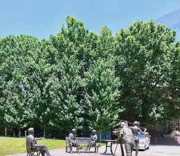 中国传媒大学