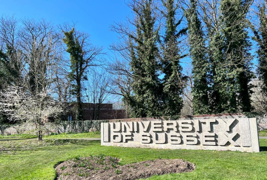 苏塞克斯大学