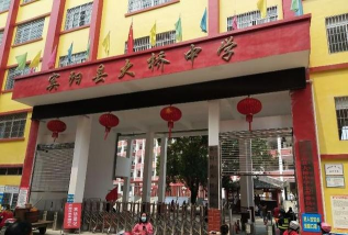 宾阳县大桥中学