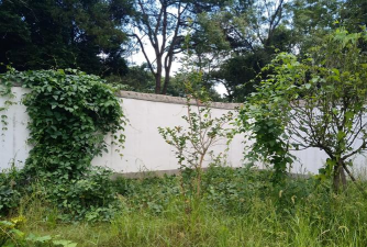 宾阳县芦圩镇蒙田初中