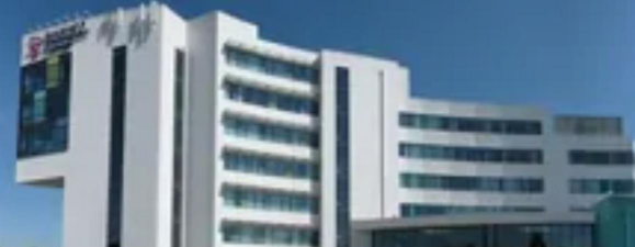 布拉克内尔和沃金汉姆学院