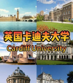 卡迪夫国际学院