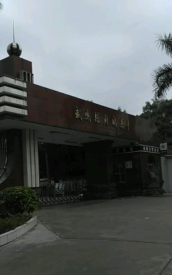 武鸣县府城高级中学