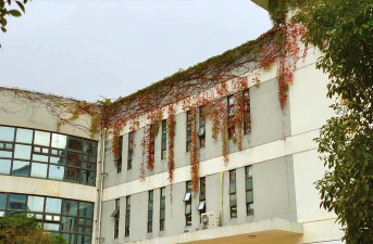 南宁市邕宁区高级中学