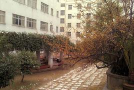 天台街头中学
