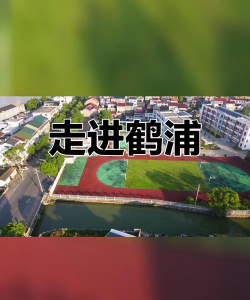 鹤浦镇初级中学