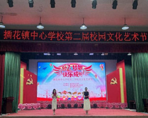 阜阳市颍东区插花镇赵店中学