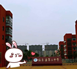临泉第三中学