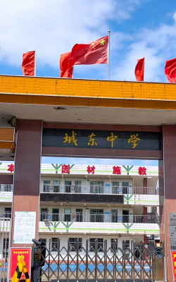 临泉县城东中学