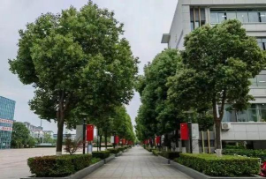 金湖县第二中学