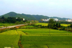 芳溪中学