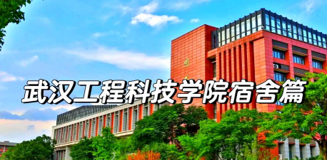 武汉工程科技学院