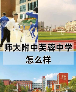 周口市芙蓉中学