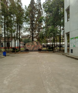 安乡县安凝乡张九台中学
