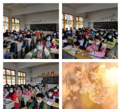 蹇家坡中学