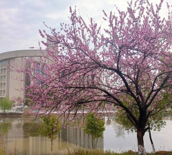 武汉工程职业技术学院