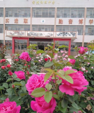 靖远县平堡乡蒋滩初中