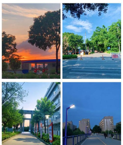 广西交通职业技术学院