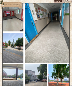 青岛华侨学校新育英