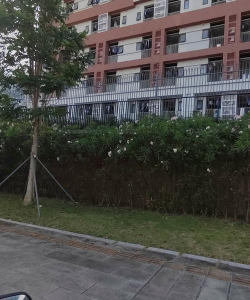 慈济大学附属高级中学