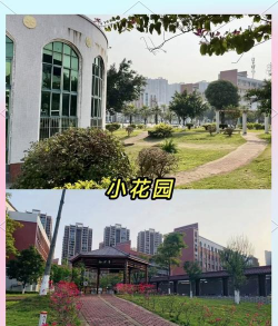 梧州职业学院