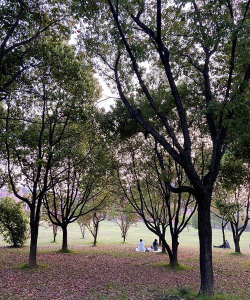 浙江师范大学