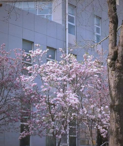 许昌职业学院五年制大专