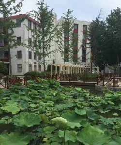 山东煤炭工业学校
