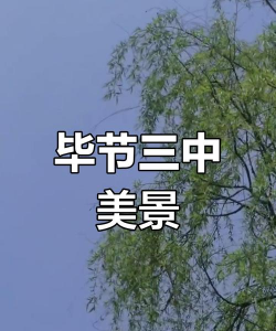 毕节三中