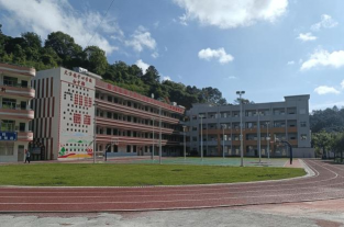 大方镇中学