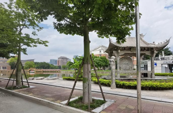 协和学院