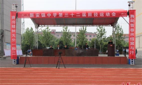临澧县新安镇中学